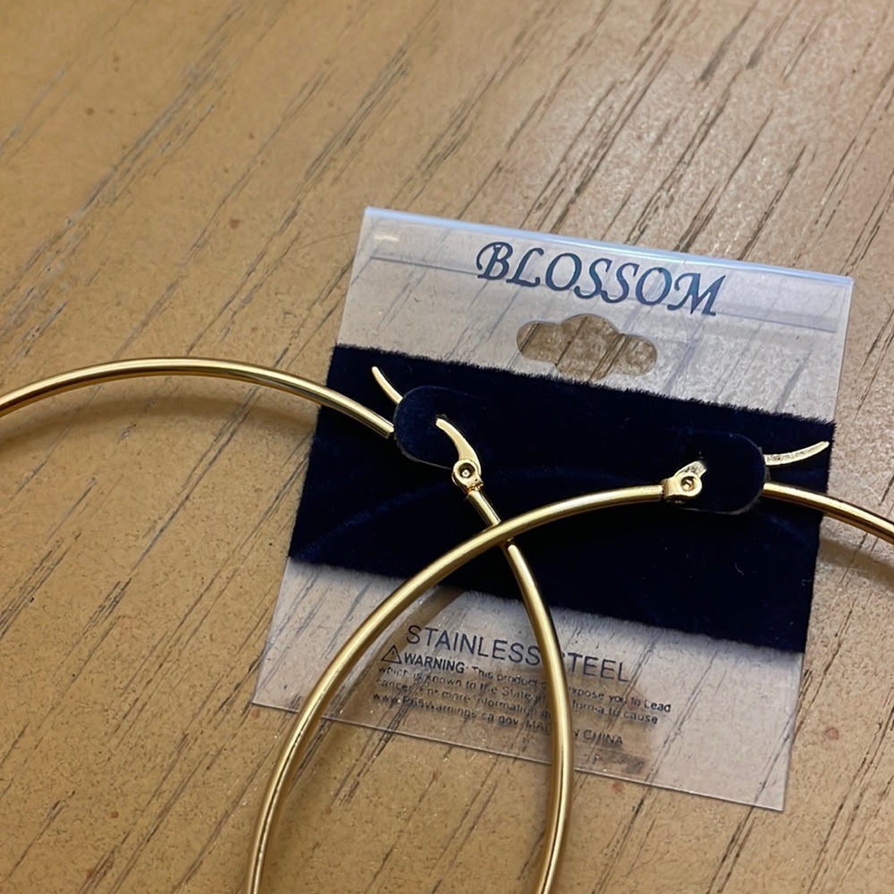 Large stainless steel hoop earrings